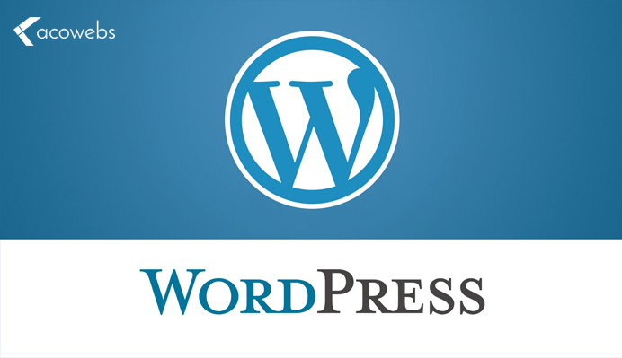 What is WordPress and Reasons for Choosing it