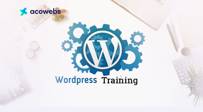 The Best WordPress Training Resources Revealed (Free & Paid)