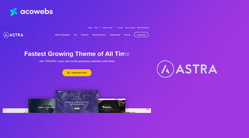 THEME FOR ASTRA WOOCOMMERCE