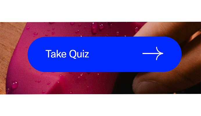 Quiz Prompt by Dame
