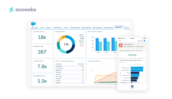 Salesforce Data Summary 