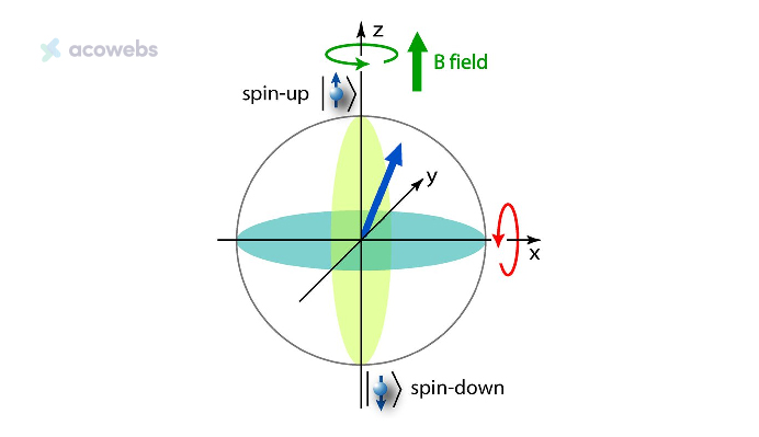 Quantum Spin Property