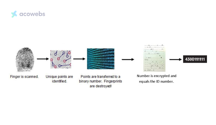 A Typical Pattern of a Fingerprint Template