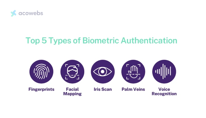 Types of Biometric Authentication for Payments