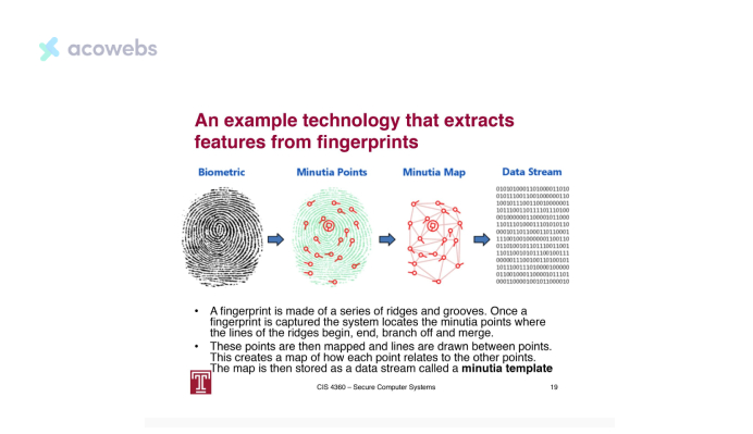 How Fingerprint Capture Works