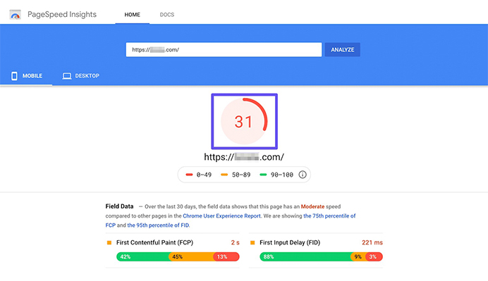 Google Page Speed Insight Score