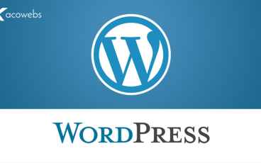 What is WordPress and Reasons for Choosing it