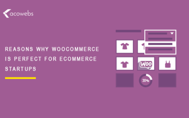 13 Reasons Why WooCommerce is Perfect for eCommerce Startups